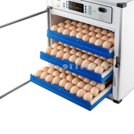 Egg Newly Advanced 204eggs Incubator-self Water Replenishing