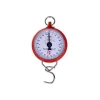 Hannson 100KG Weighing Machine