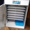 Premier 1056 Eggs Incubator Single Function
