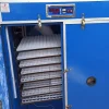 25,000 Eggs Automatic Commercial Setter