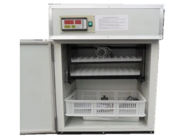 176-eggs-incubator.png