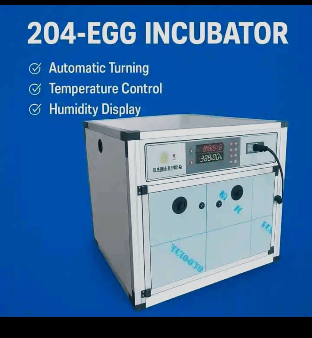 204-eggs-incubator.jpg