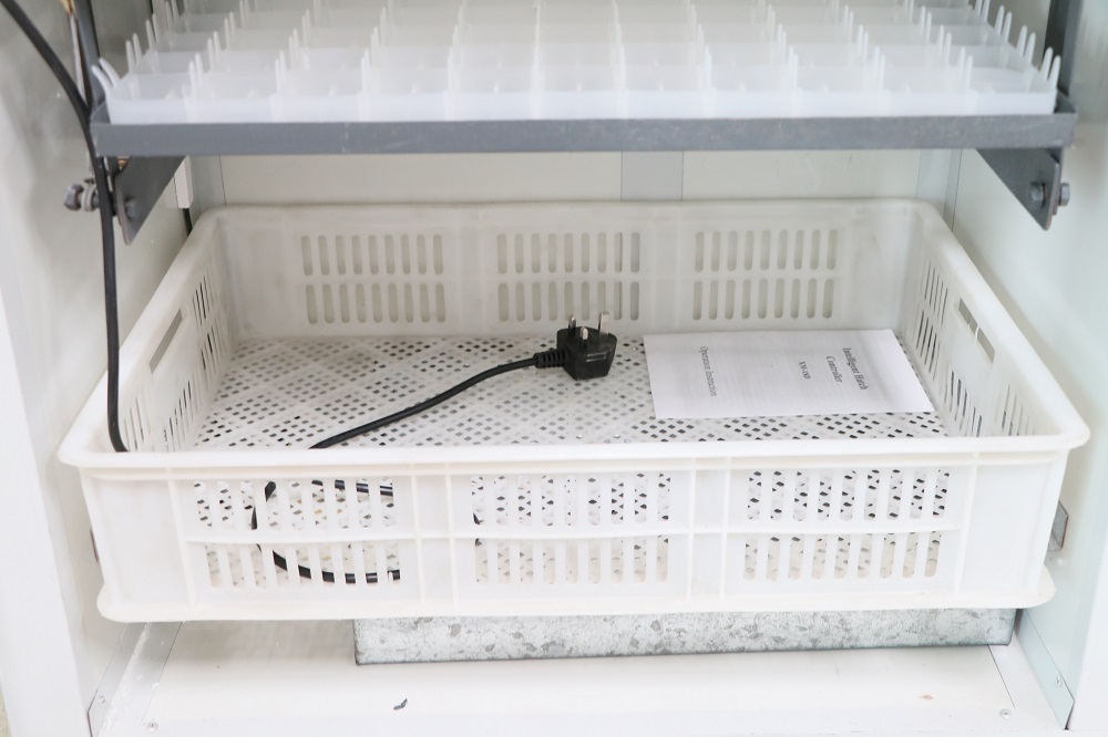 352-eggs-hatching-area.jpg