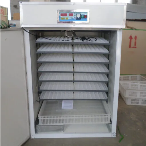 528-eggs-incubator-copy-100-1-510×510-1.jpg