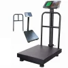 Big Base Industrial 300Kgs Digital Pricing Electronic Flatbed Platform Weighing Scales